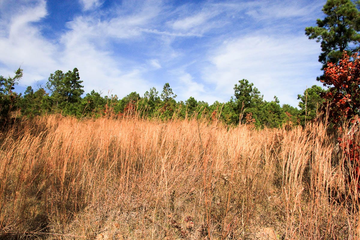 Stone Creek Phase III Tract 2 photo 15