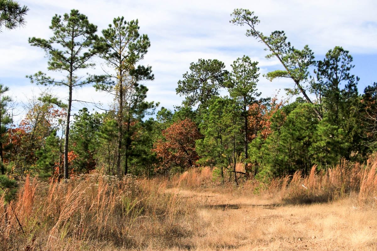 Stone Creek Phase III Tract 2 photo 16