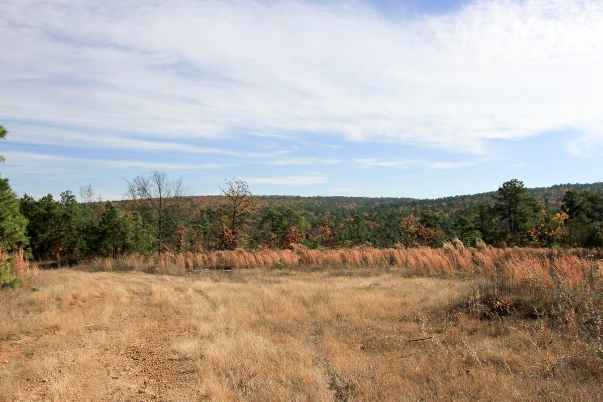 Stone Creek Phase III Tract 2 photo 18