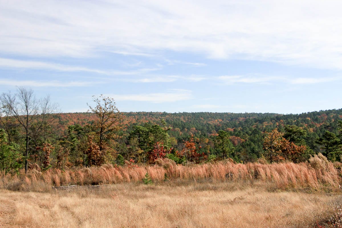 Stone Creek Phase III Tract 2 photo 19
