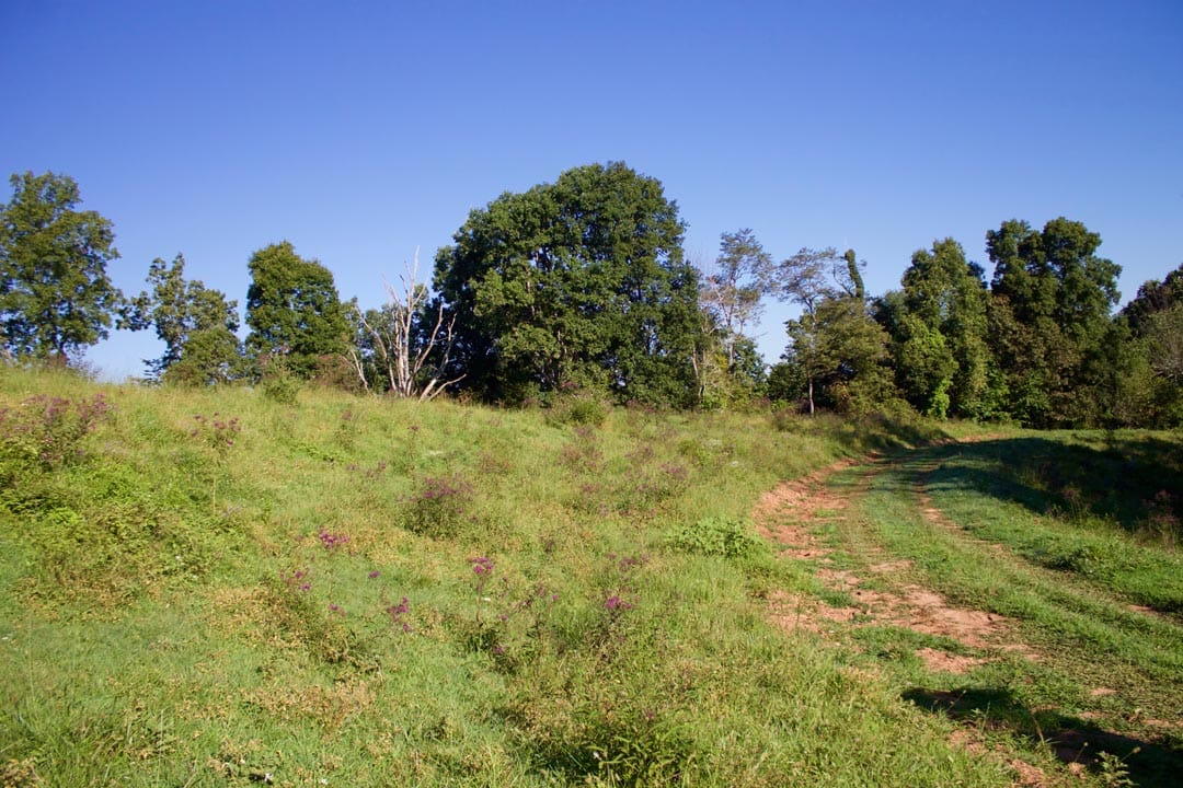 Heritage Hollow Tract 2 photo 2