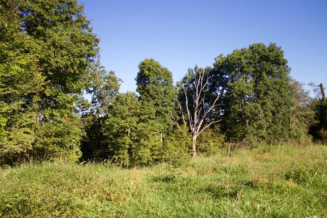 Heritage Hollow Tract 2 photo 5