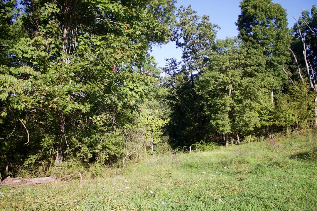 Heritage Hollow Tract 2 photo 6