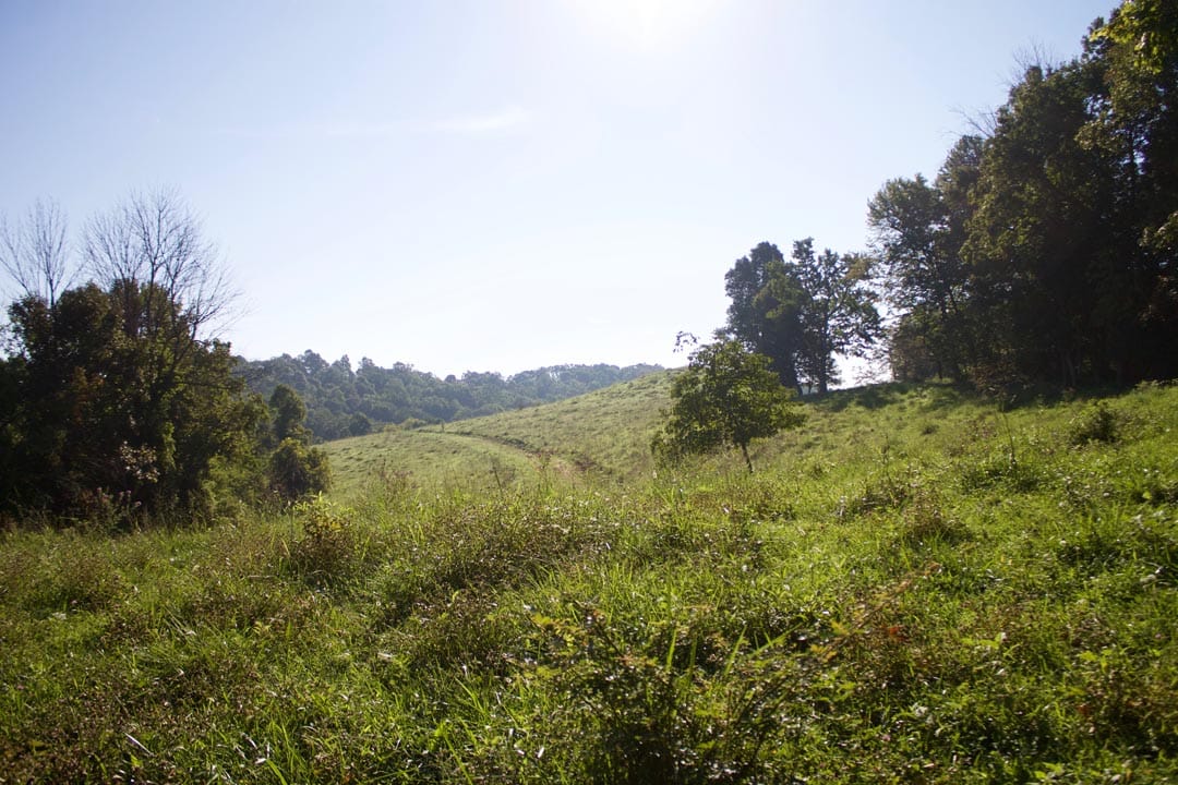 Heritage Hollow Tract 2 photo 7