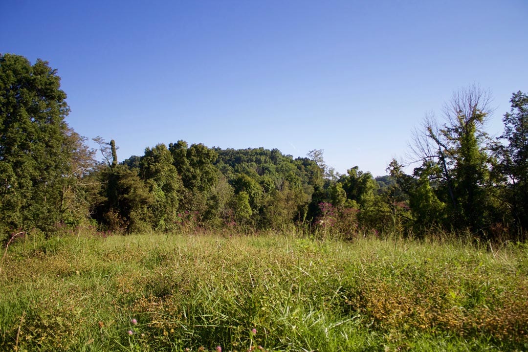 Heritage Hollow Tract 2 photo 8