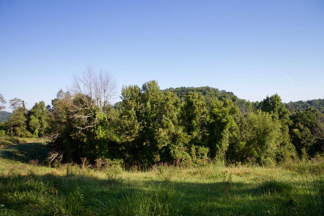 Heritage Hollow Tract 2 photo 10