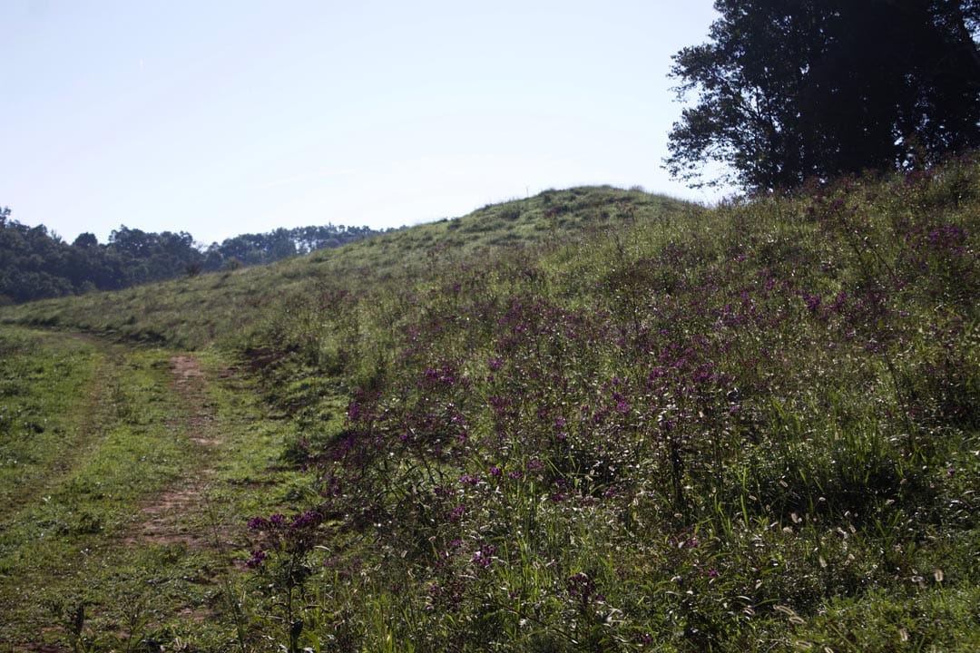 Heritage Hollow Tract 2 photo 13