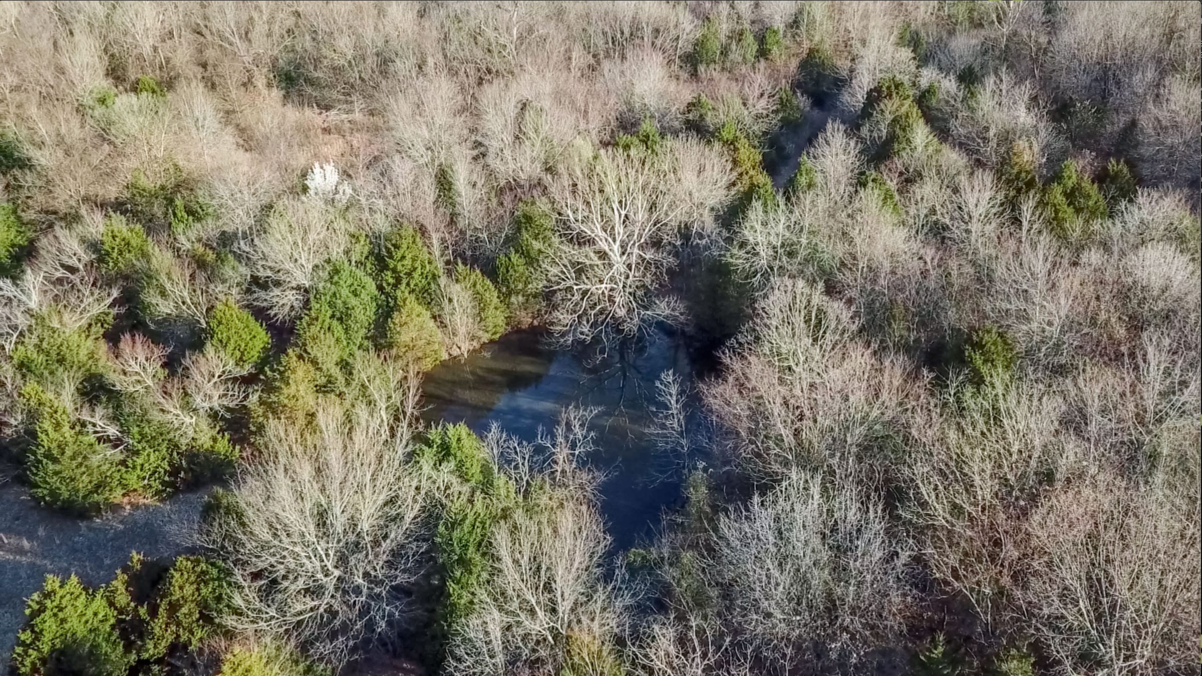 Eufaula Cove Tract 24 photo 2
