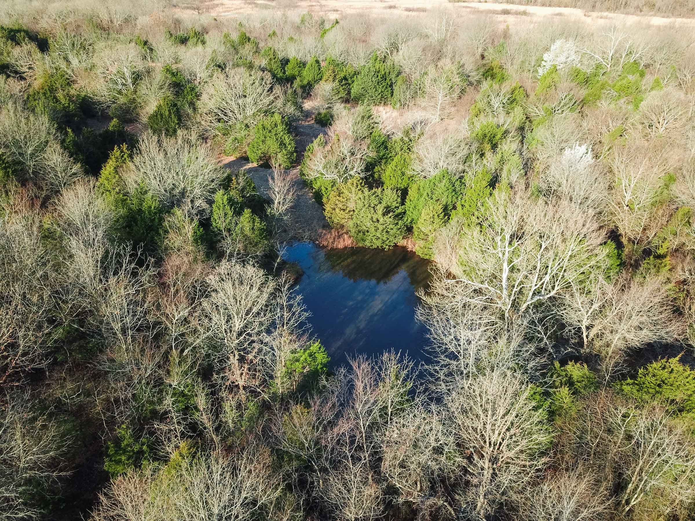 Eufaula Cove Tract 24 photo 3