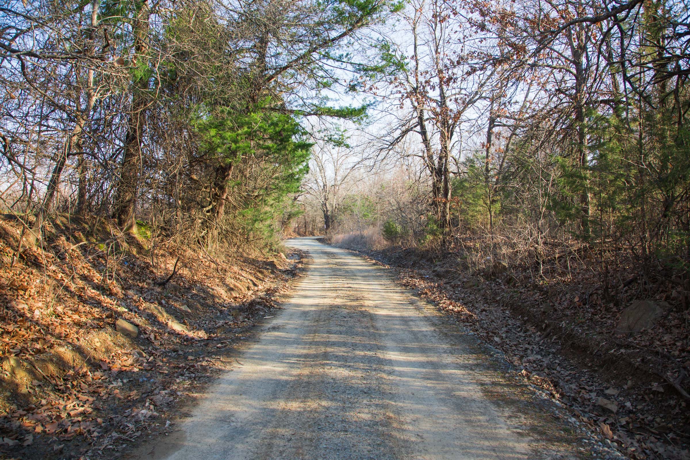 Eufaula Cove Tract 24 photo 4