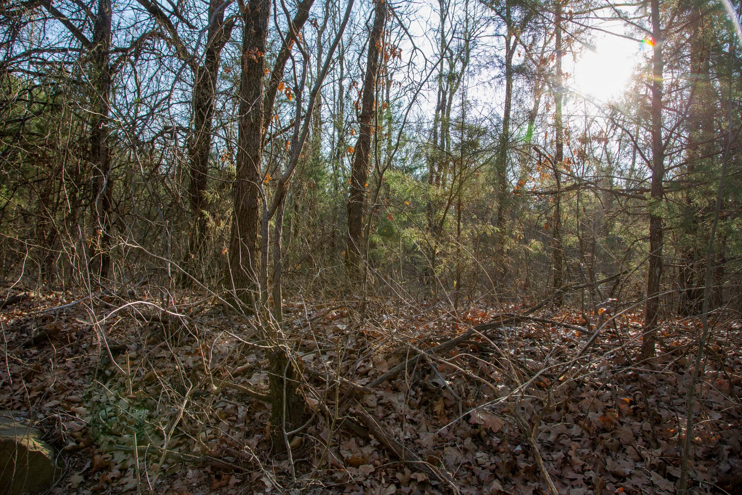 Eufaula Cove Tract 24 photo 7