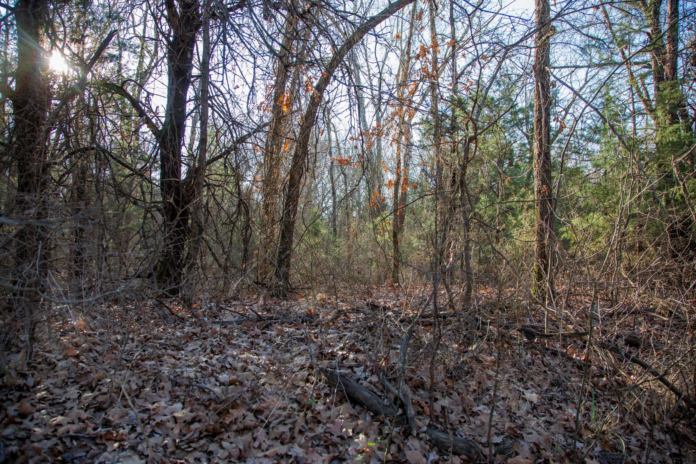Eufaula Cove Tract 24 photo 9