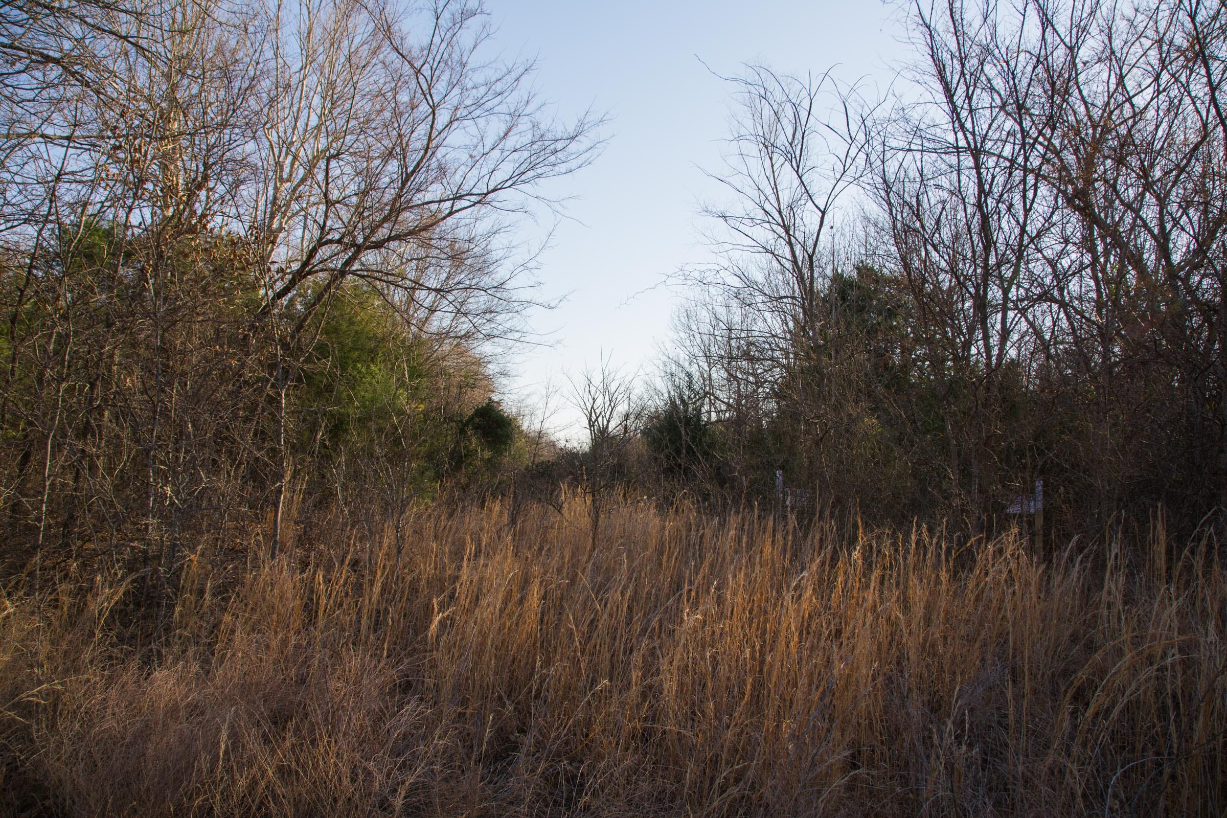 Eufaula Cove Tract 24 photo 11