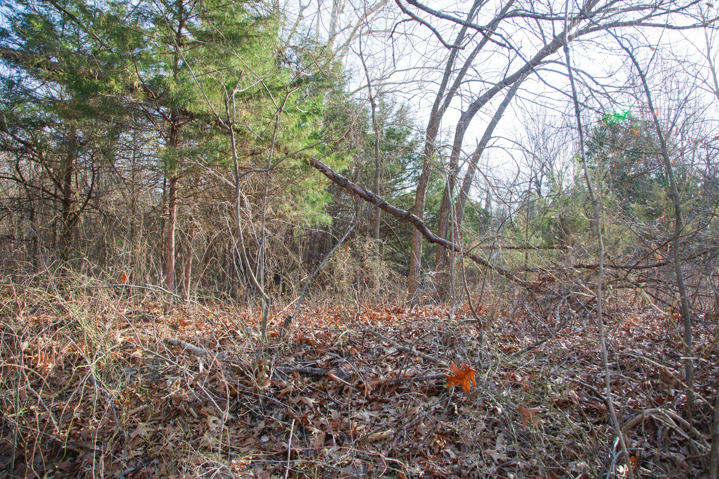 Eufaula Cove Tract 24 photo 12