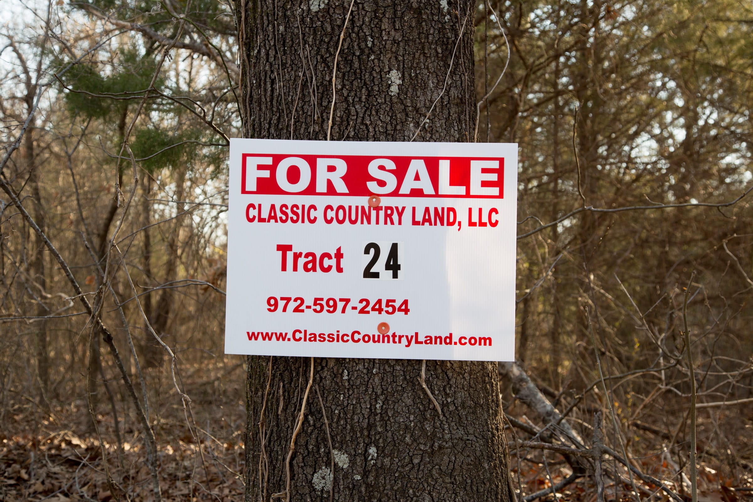 Eufaula Cove Tract 24 photo 1