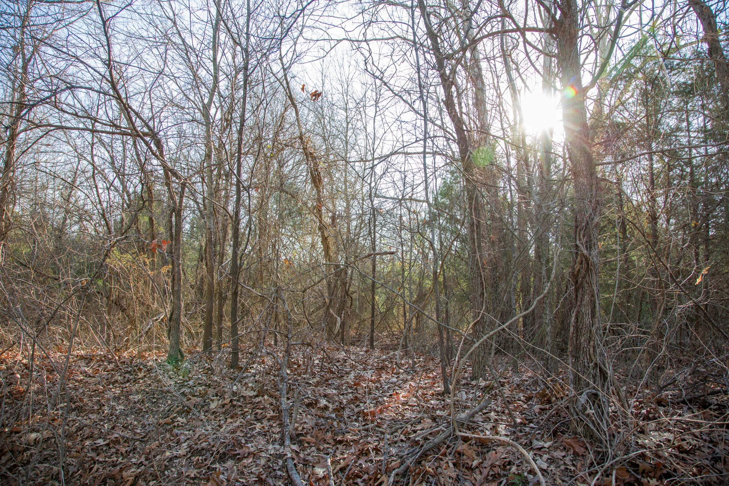 Eufaula Cove Tract 24 photo 13