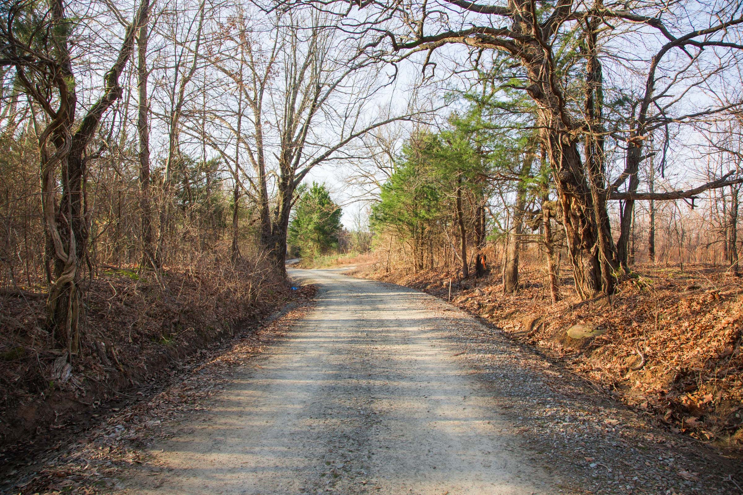 Eufaula Cove Tract 24 photo 15