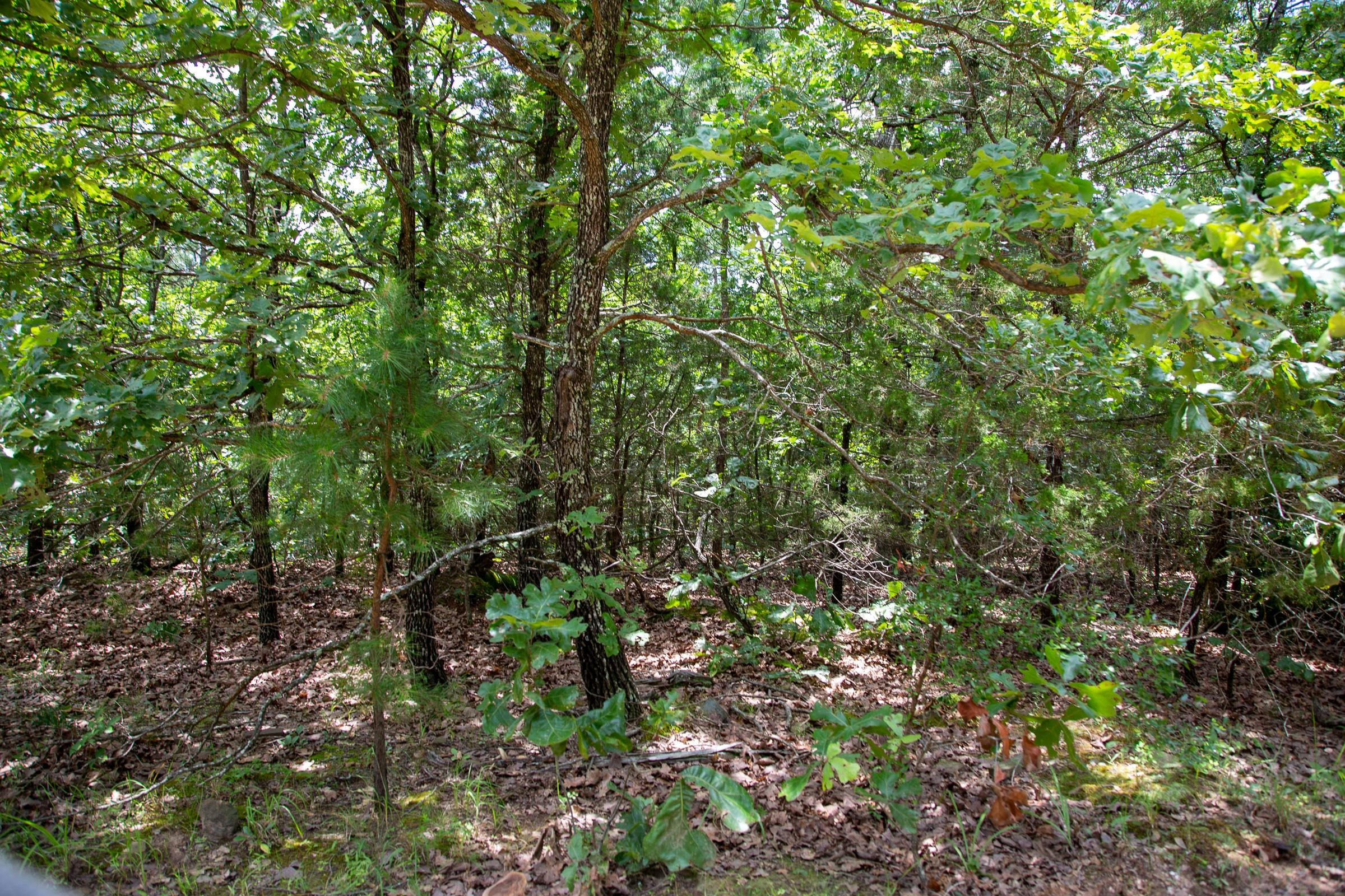 Tyler Stone Ranch Tract 23 photo 2