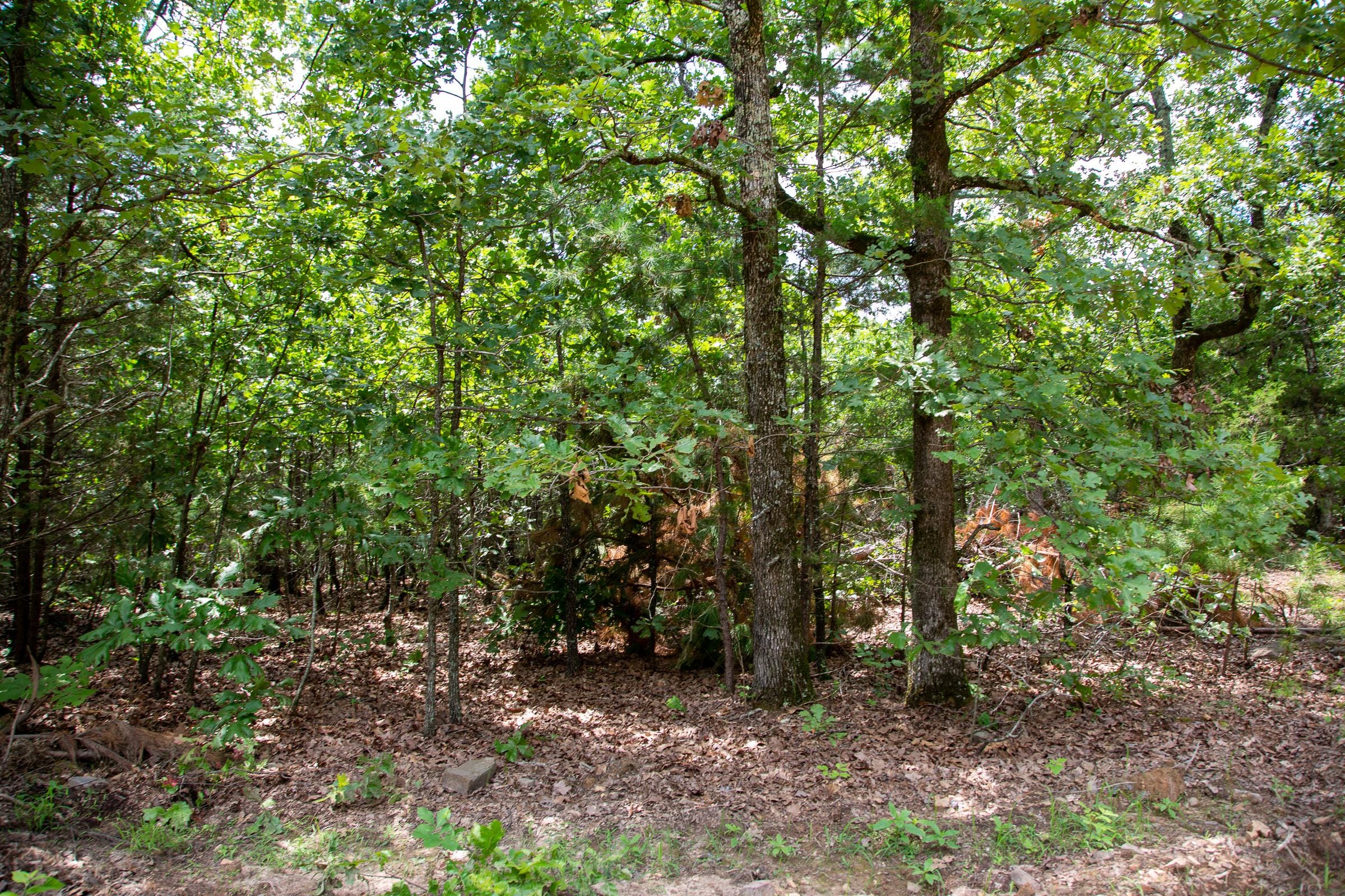 Tyler Stone Ranch Tract 23 photo 4