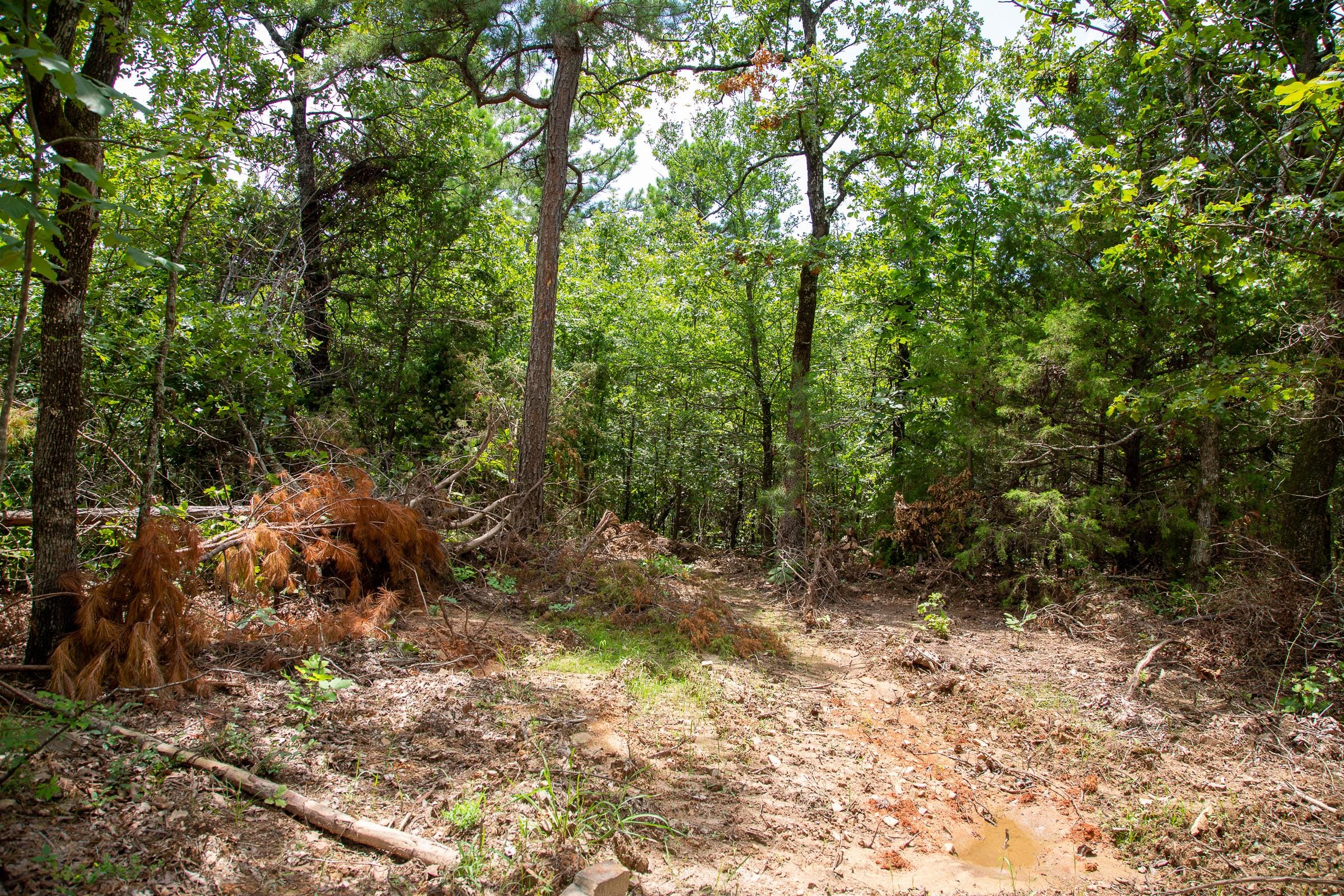 Tyler Stone Ranch Tract 23 photo 5