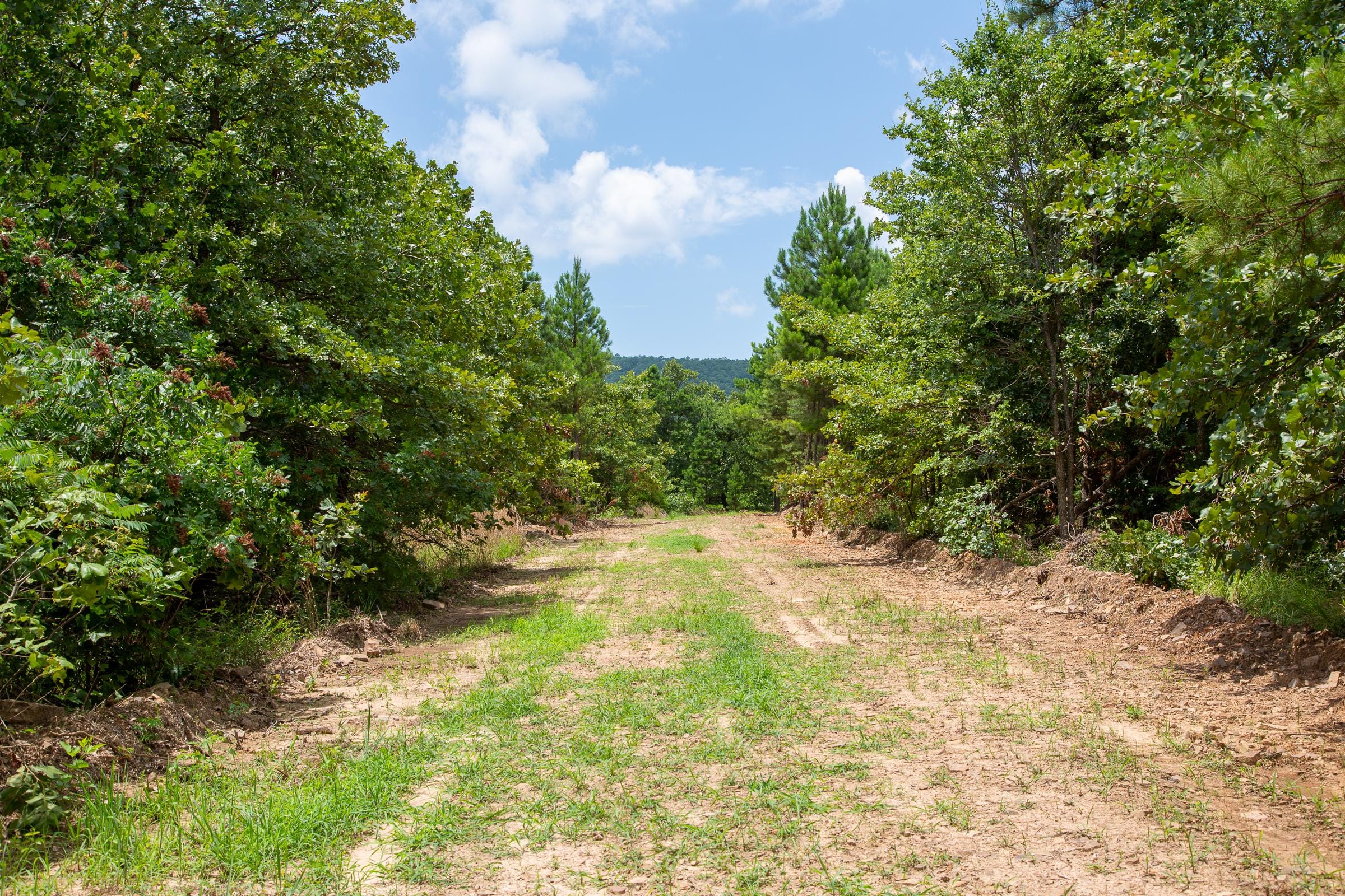 Tyler Stone Ranch Tract 23 photo 3
