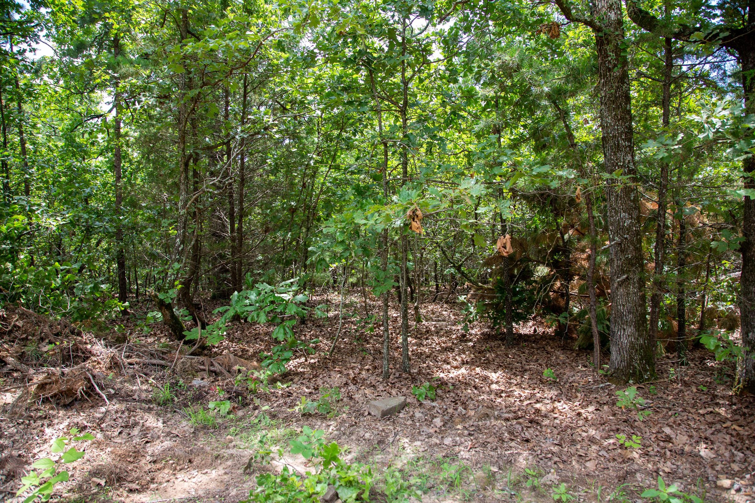 Tyler Stone Ranch Tract 23 photo 7