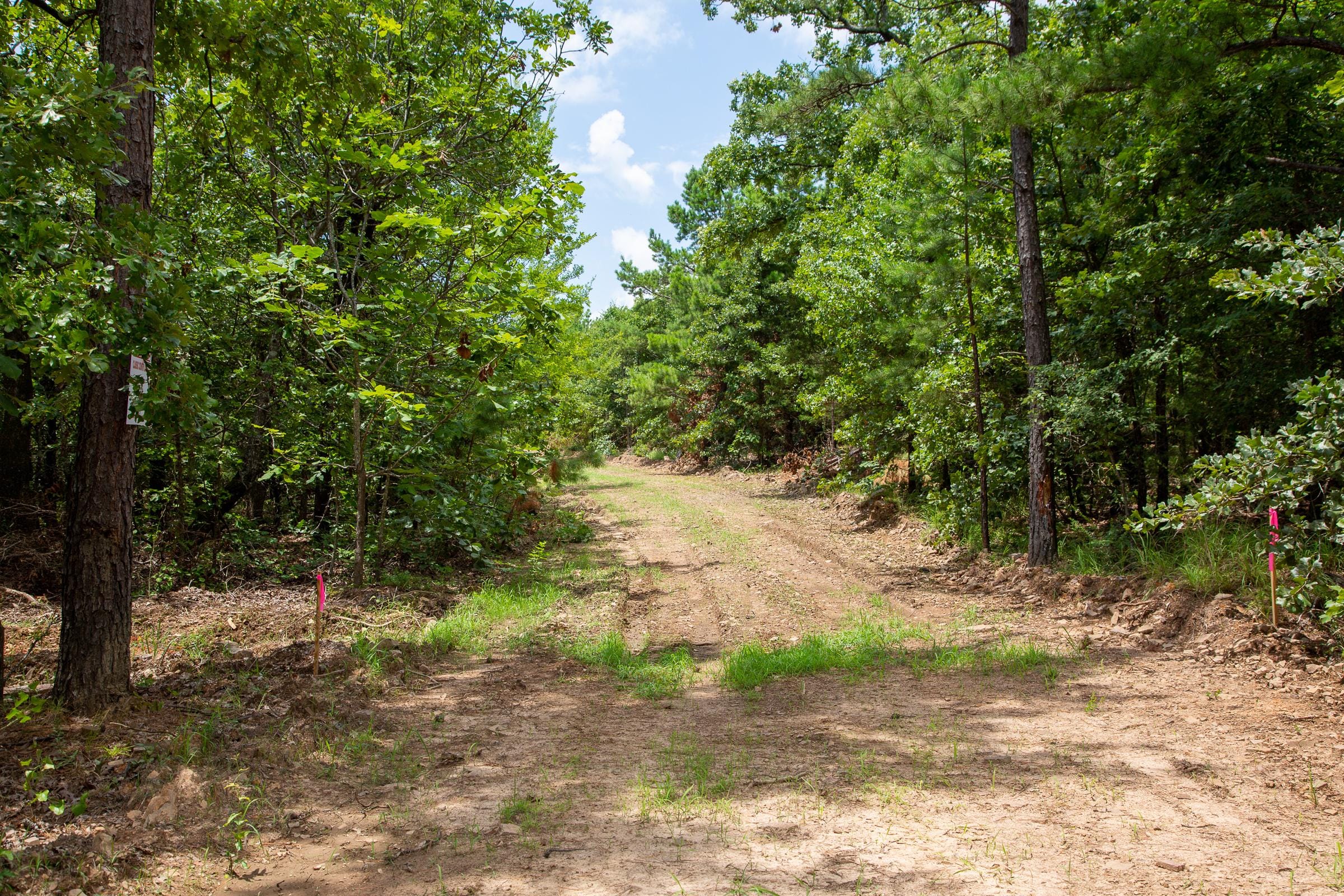 Tyler Stone Ranch Tract 23 photo 6