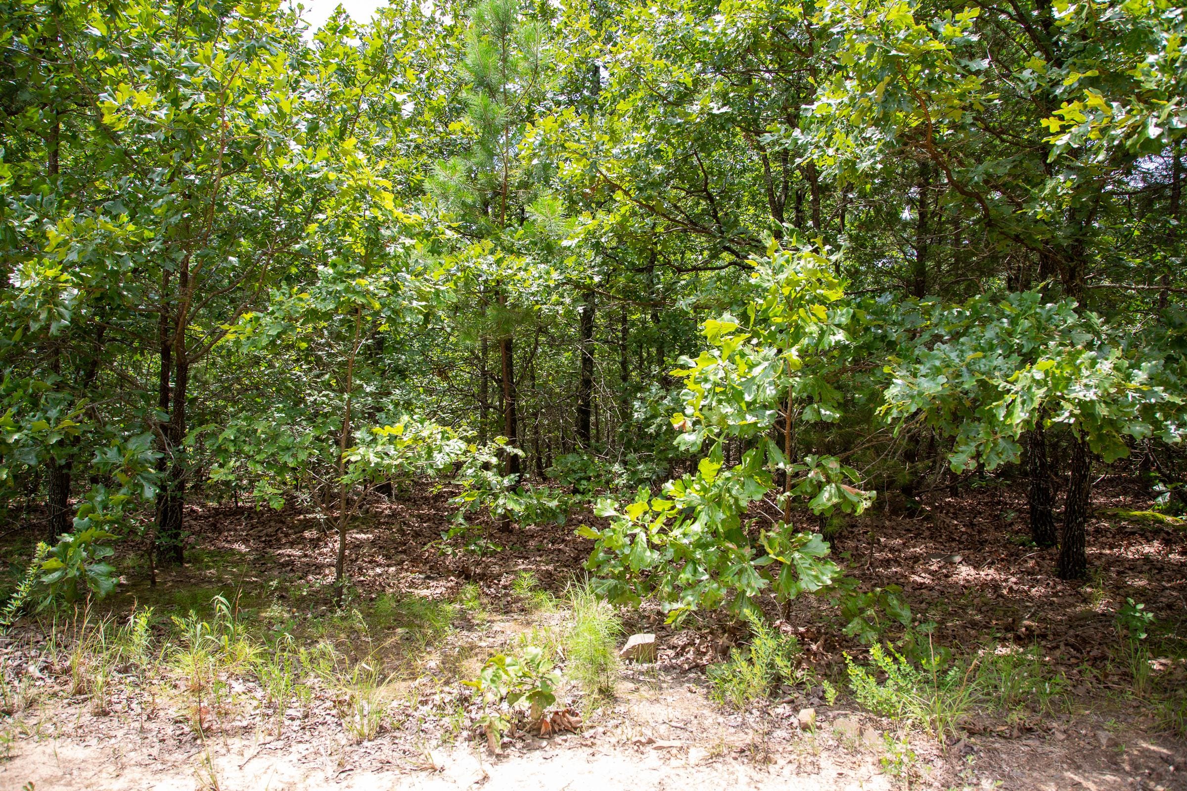 Tyler Stone Ranch Tract 23 photo 8