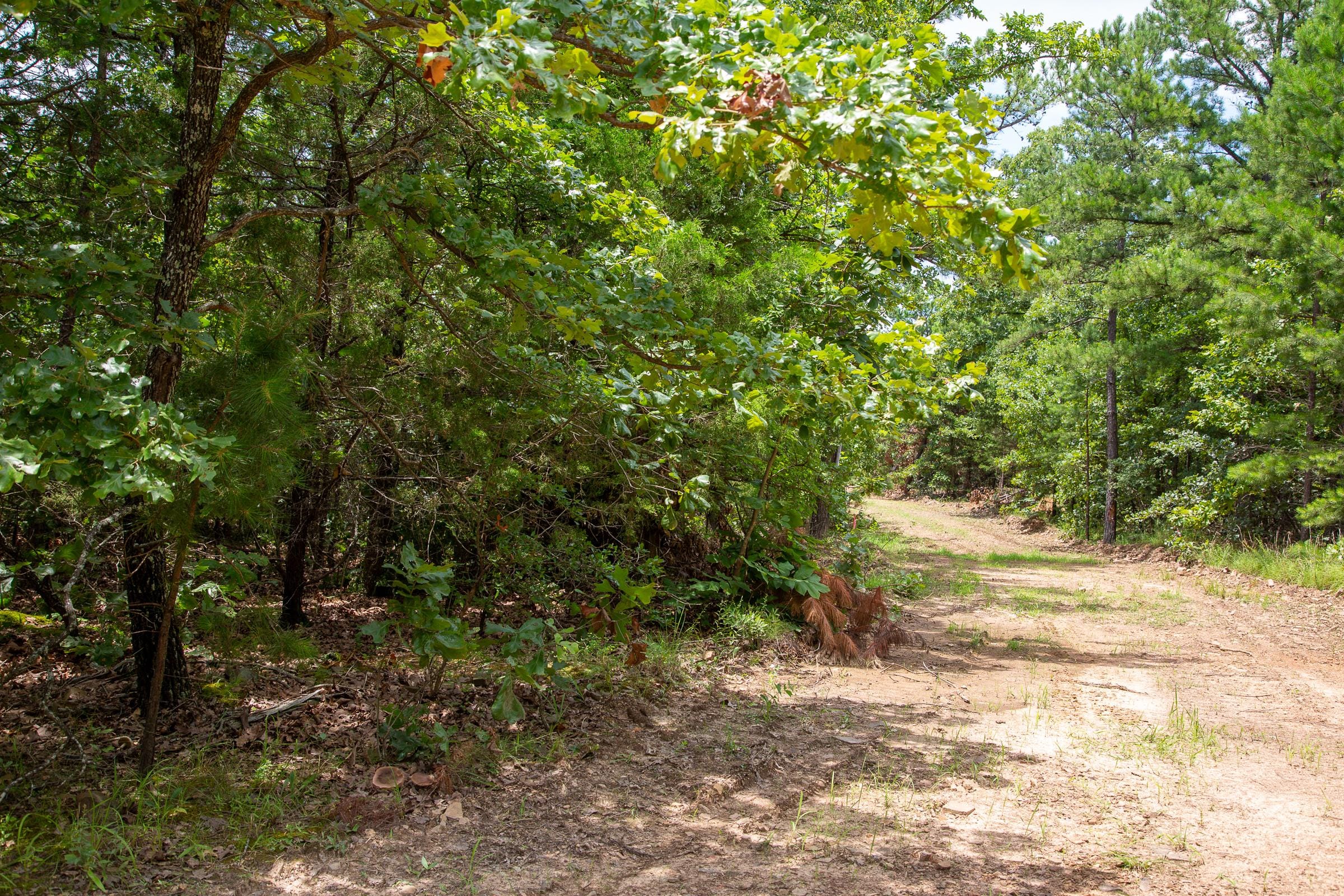 Tyler Stone Ranch Tract 23 photo 9