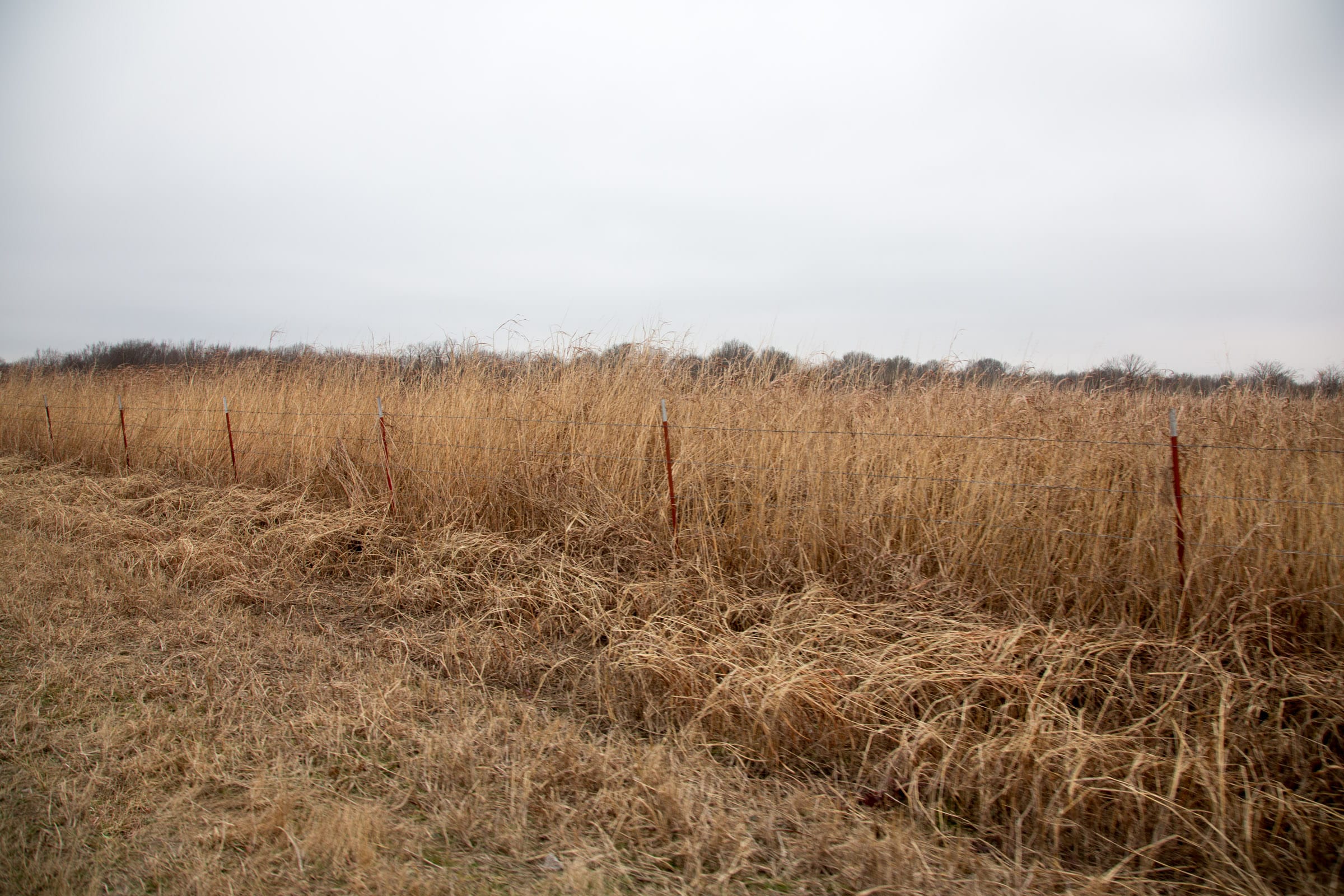 Canadian Plains Tract 14 photo 3