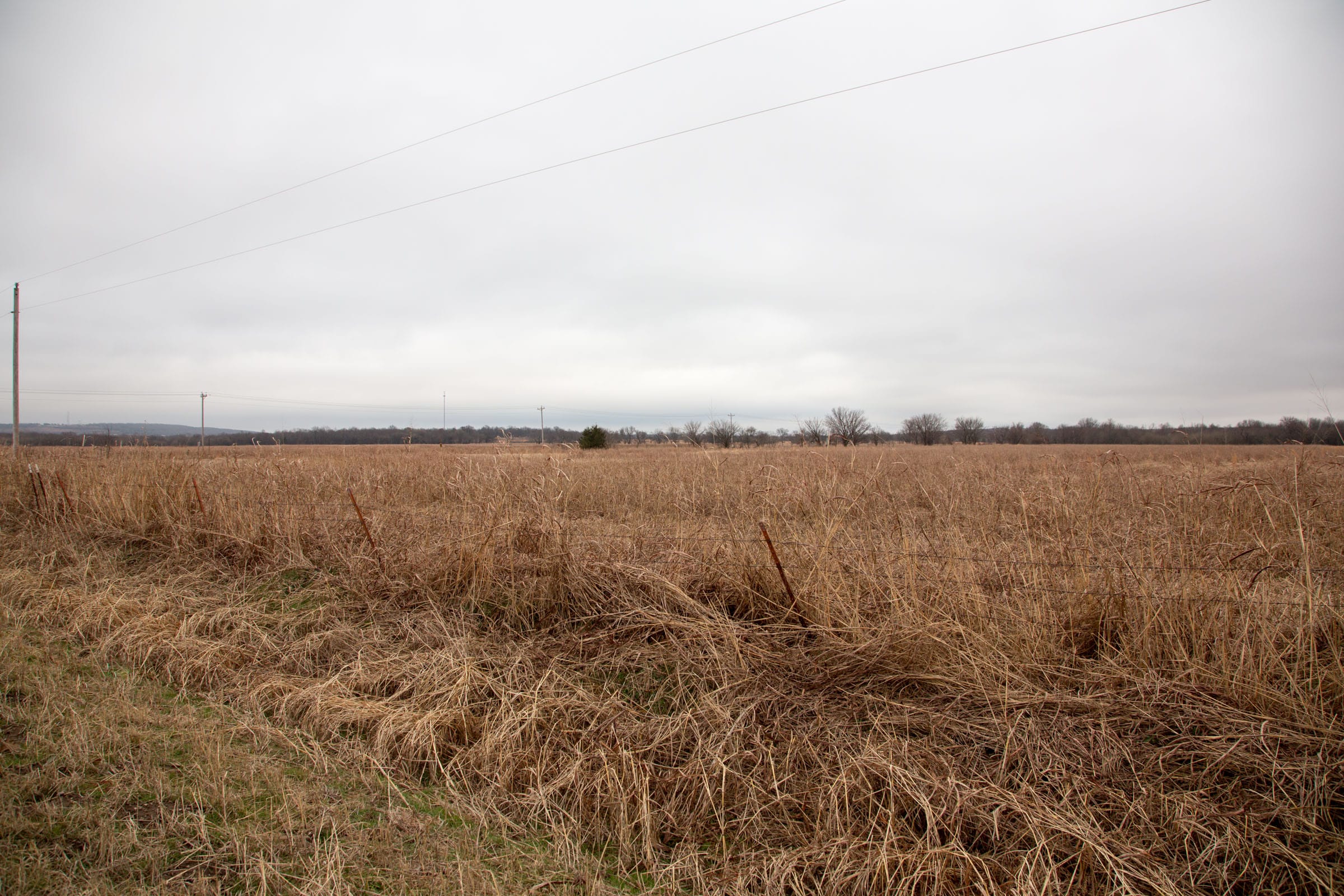 Canadian Plains Tract 14 photo 5