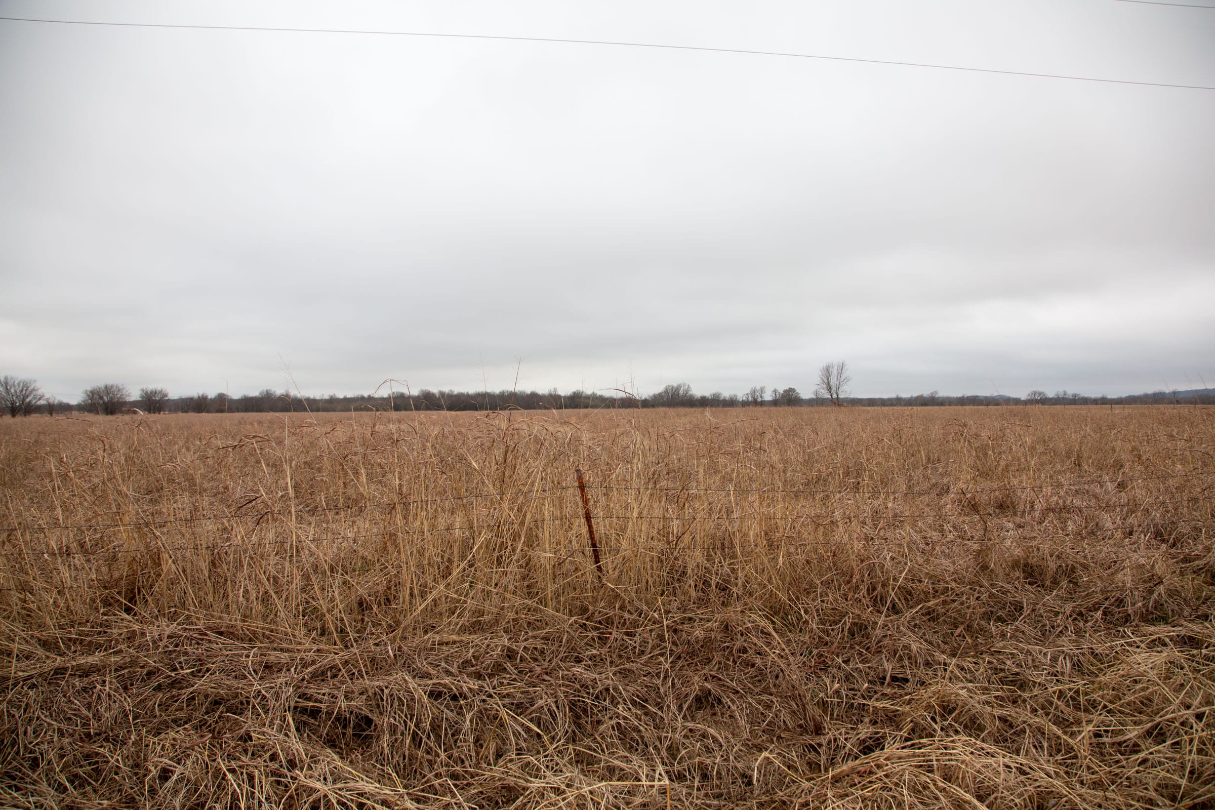 Canadian Plains Tract 14 photo 6