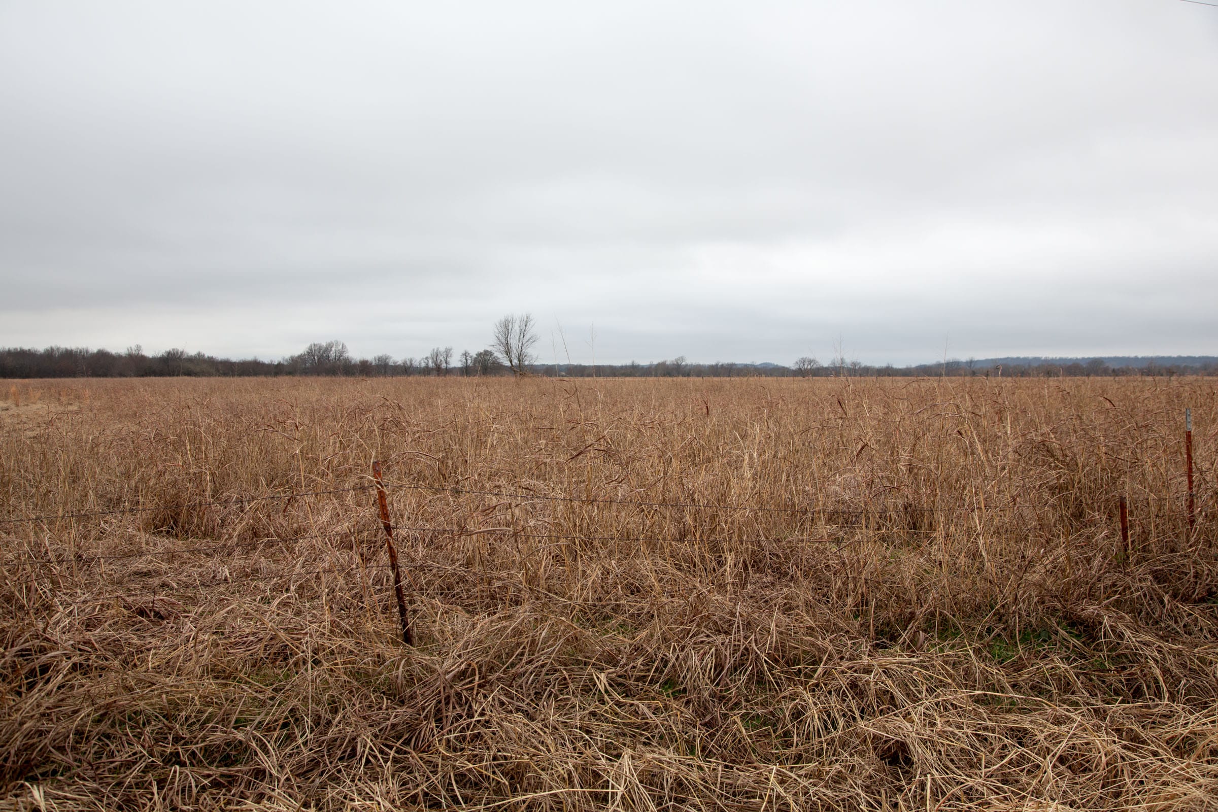 Canadian Plains Tract 14 photo 8