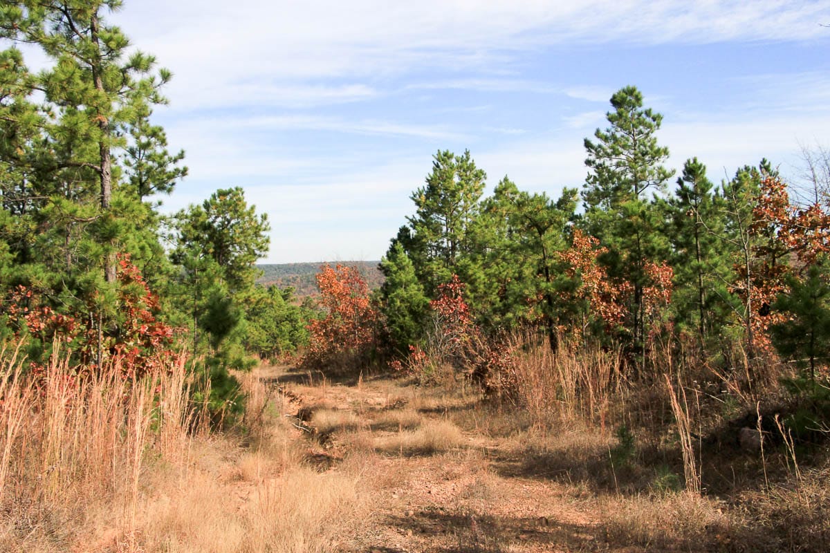 Stone Creek Phase III Tract 52 photo 2