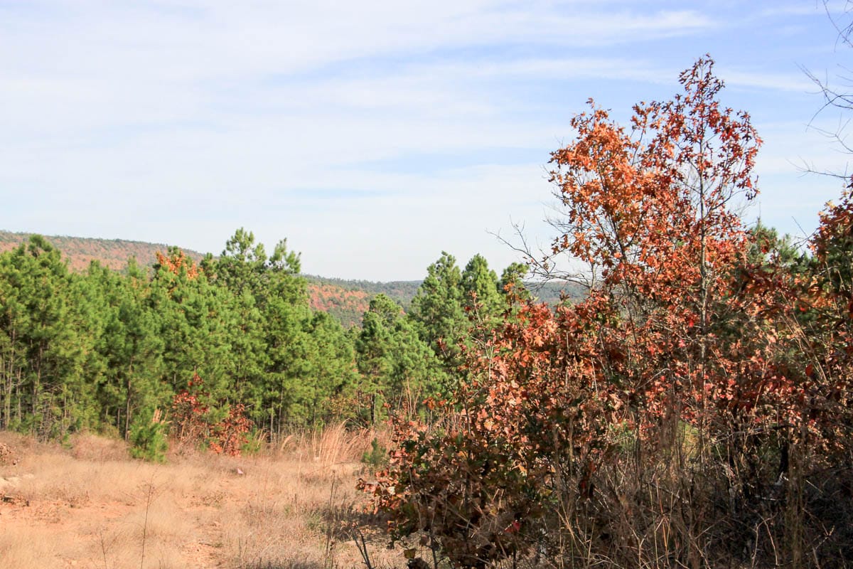 Stone Creek Phase III Tract 52 photo 5