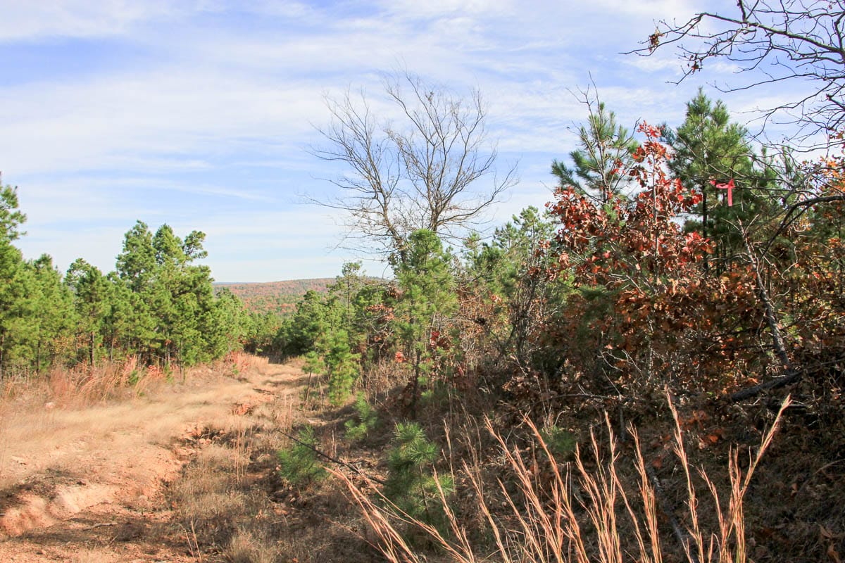 Stone Creek Phase III Tract 52 photo 6