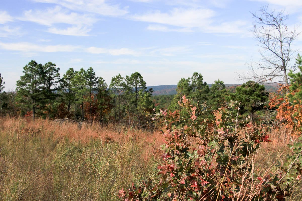 Stone Creek Phase III Tract 52 photo 9