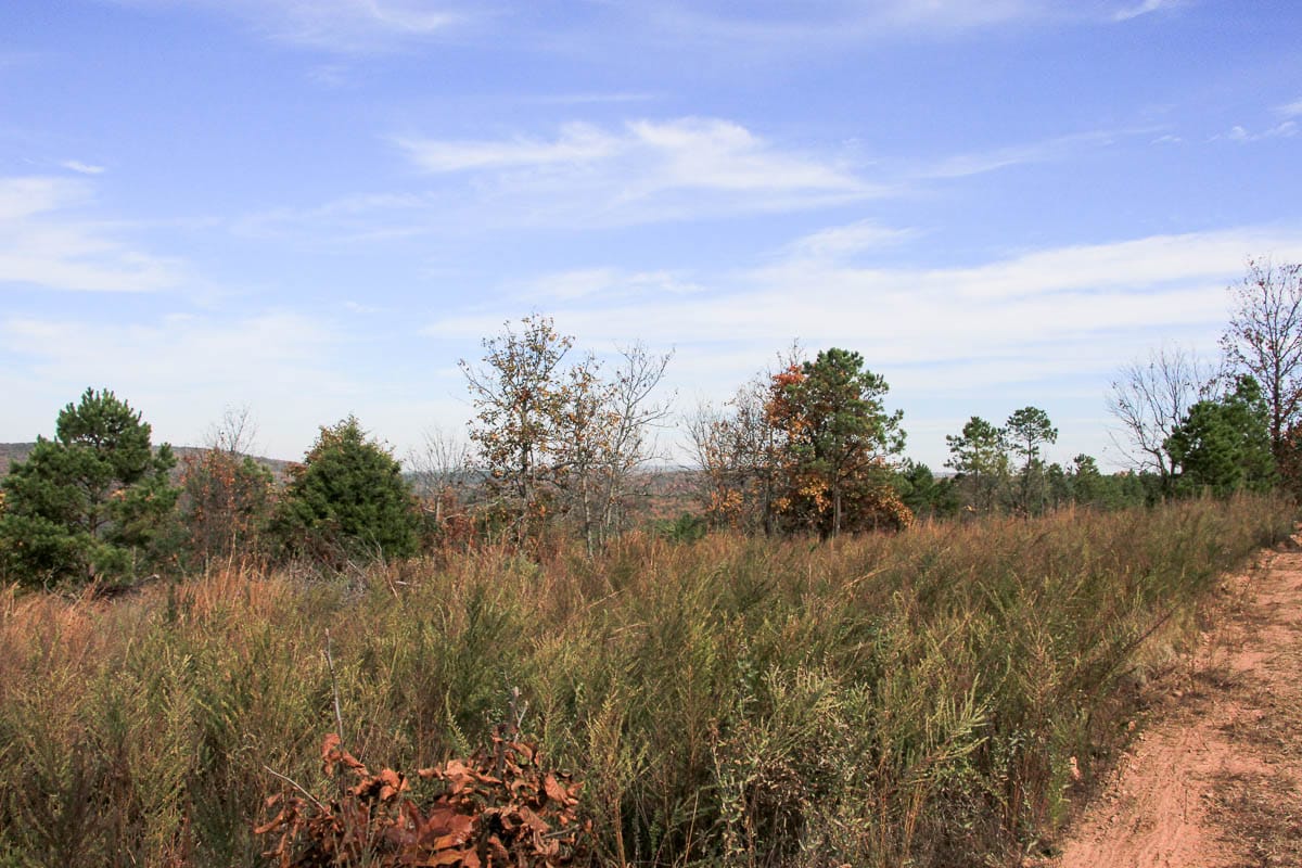 Stone Creek Phase III Tract 52 photo 10