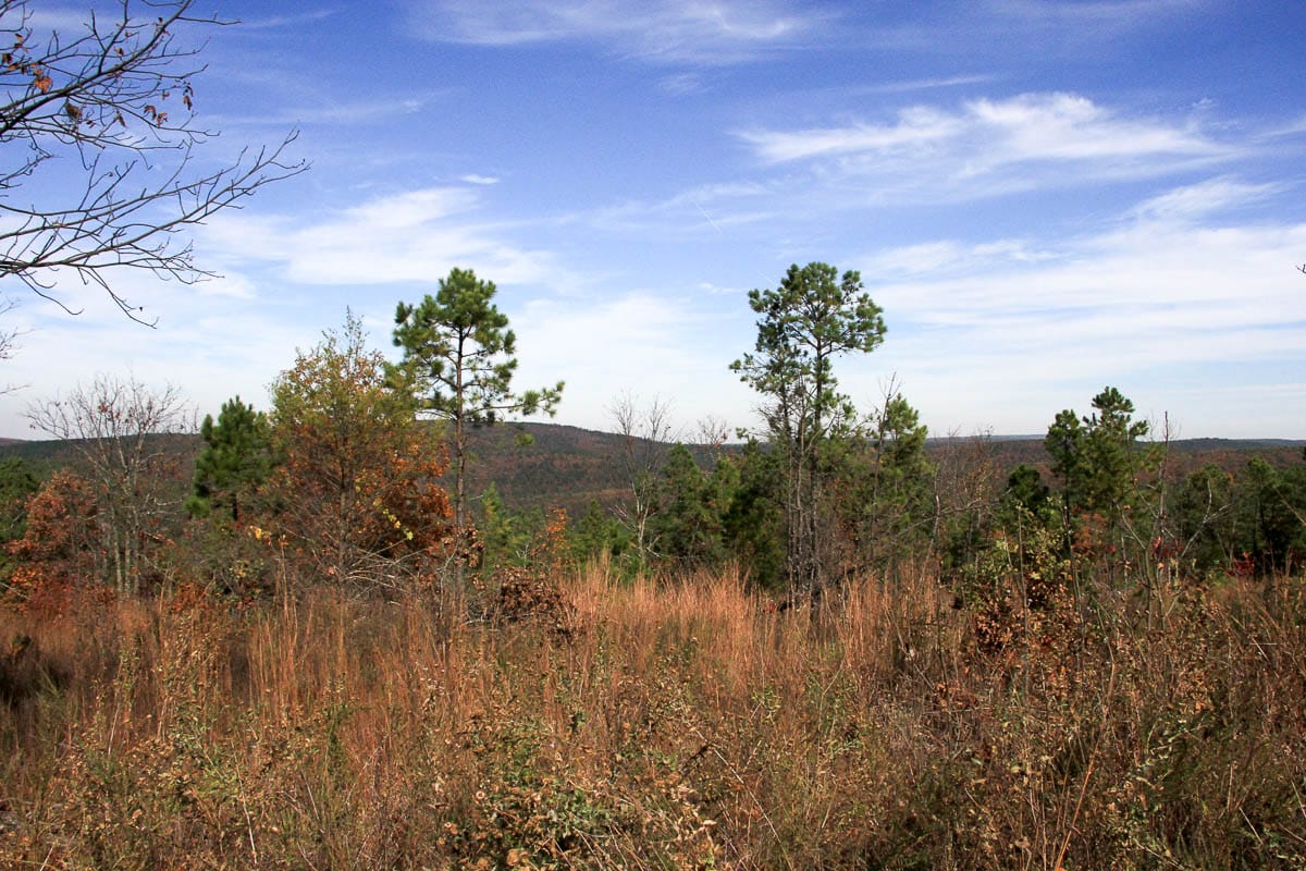 Stone Creek Phase III Tract 52 photo 12
