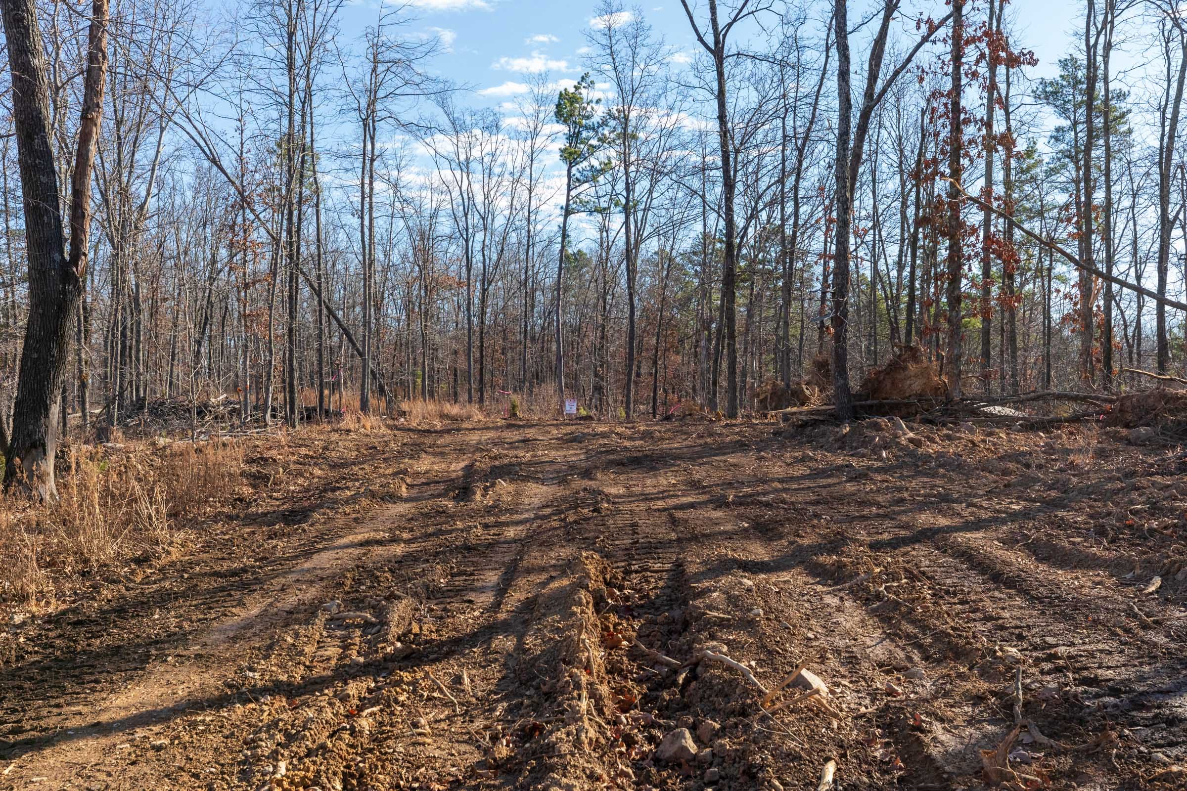 Cypress Ridge Tract 38 photo 1
