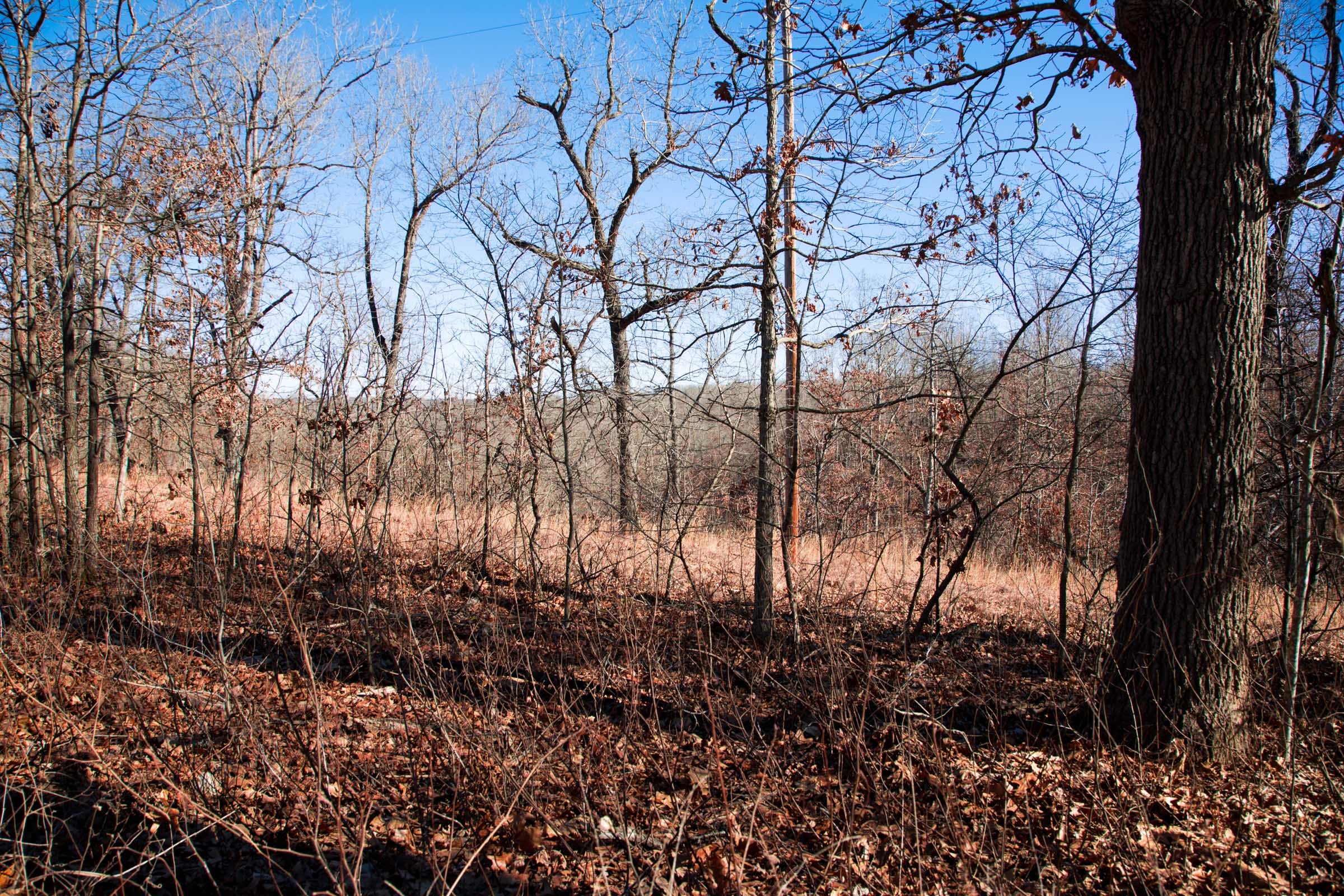 Buffalo Hills Tract 14 photo 3