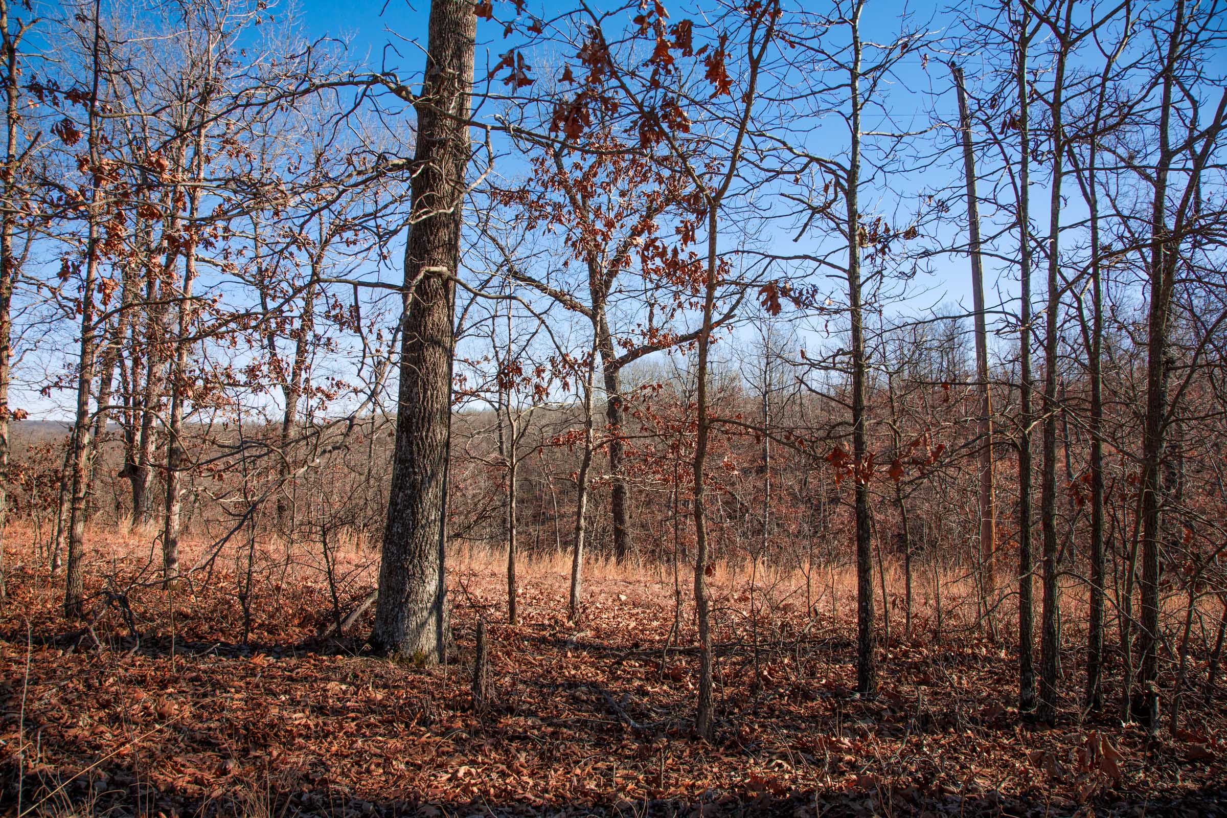 Buffalo Hills Tract 14 photo 4