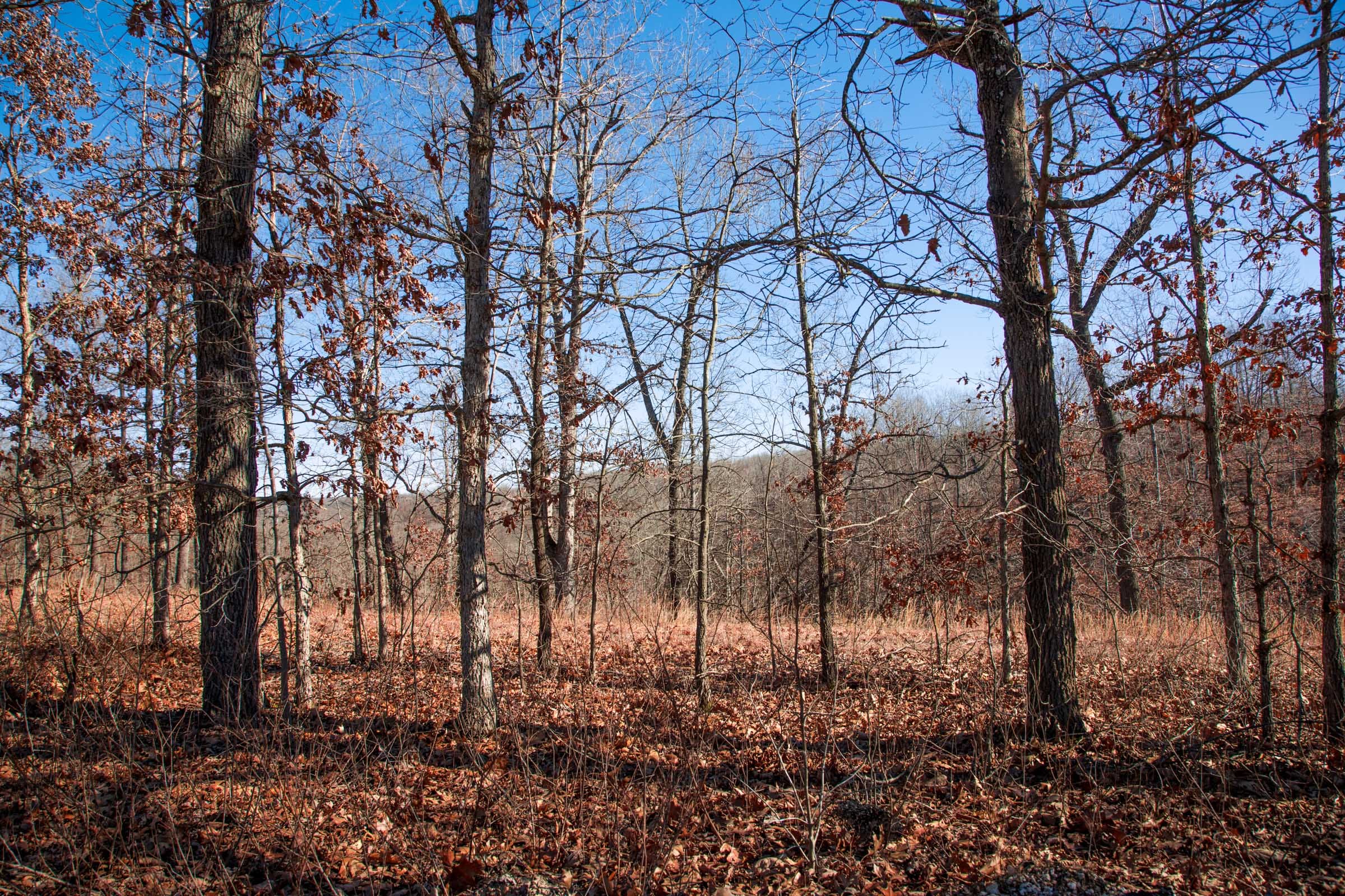 Buffalo Hills Tract 14 photo 5