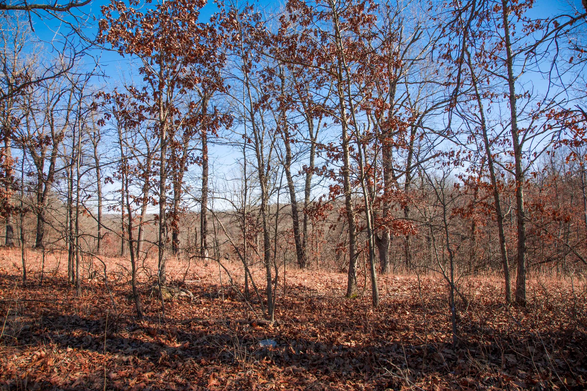 Buffalo Hills Tract 14 photo 6