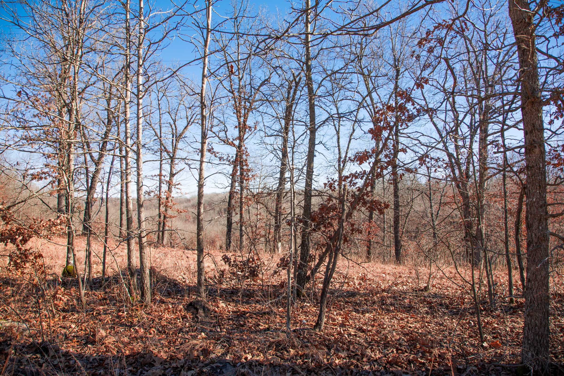 Buffalo Hills Tract 14 photo 7
