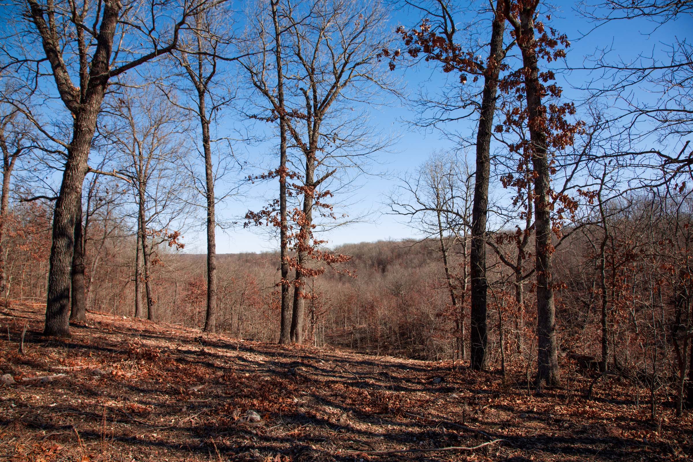 Buffalo Hills Tract 14 photo 8