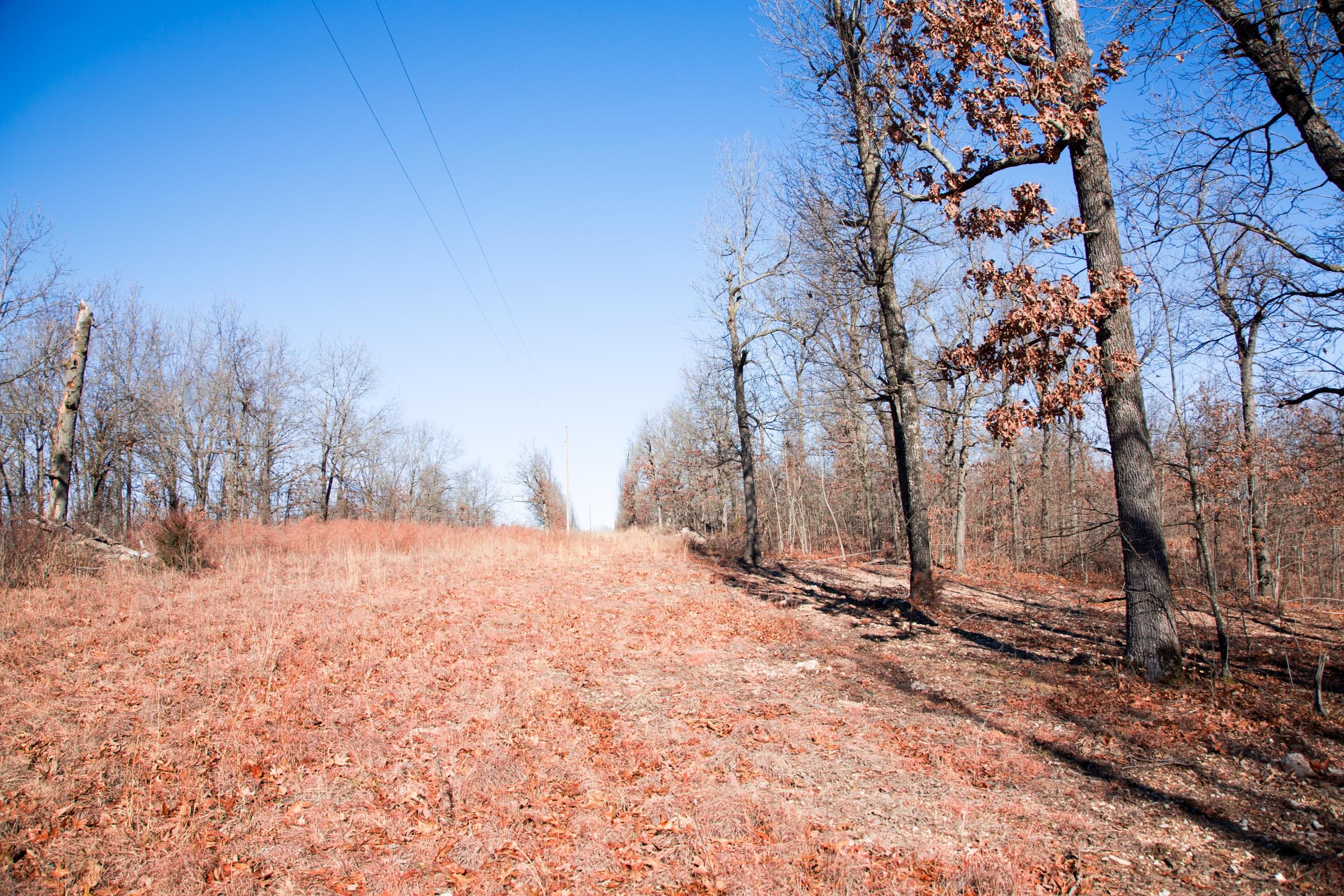 Buffalo Hills Tract 14 photo 9