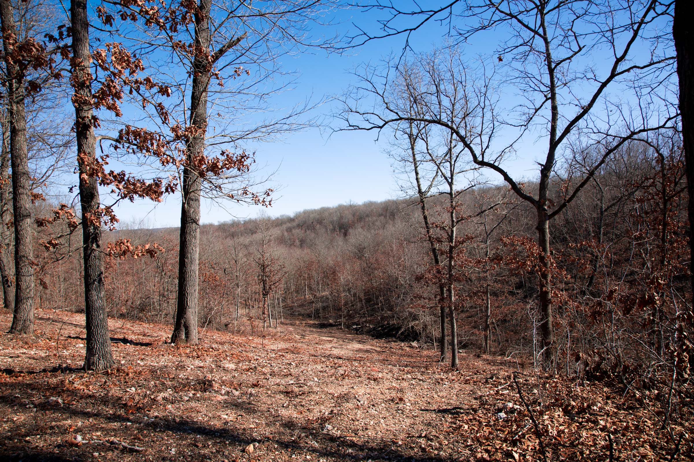 Buffalo Hills Tract 14 photo 10