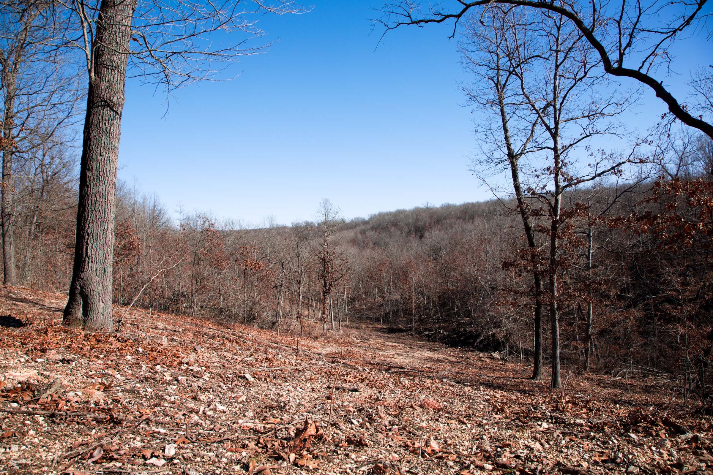 Buffalo Hills Tract 14 photo 11