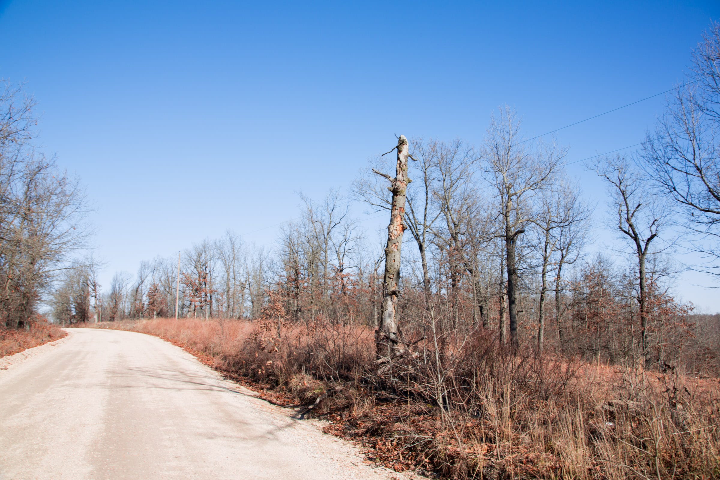 Buffalo Hills Tract 14 photo 12